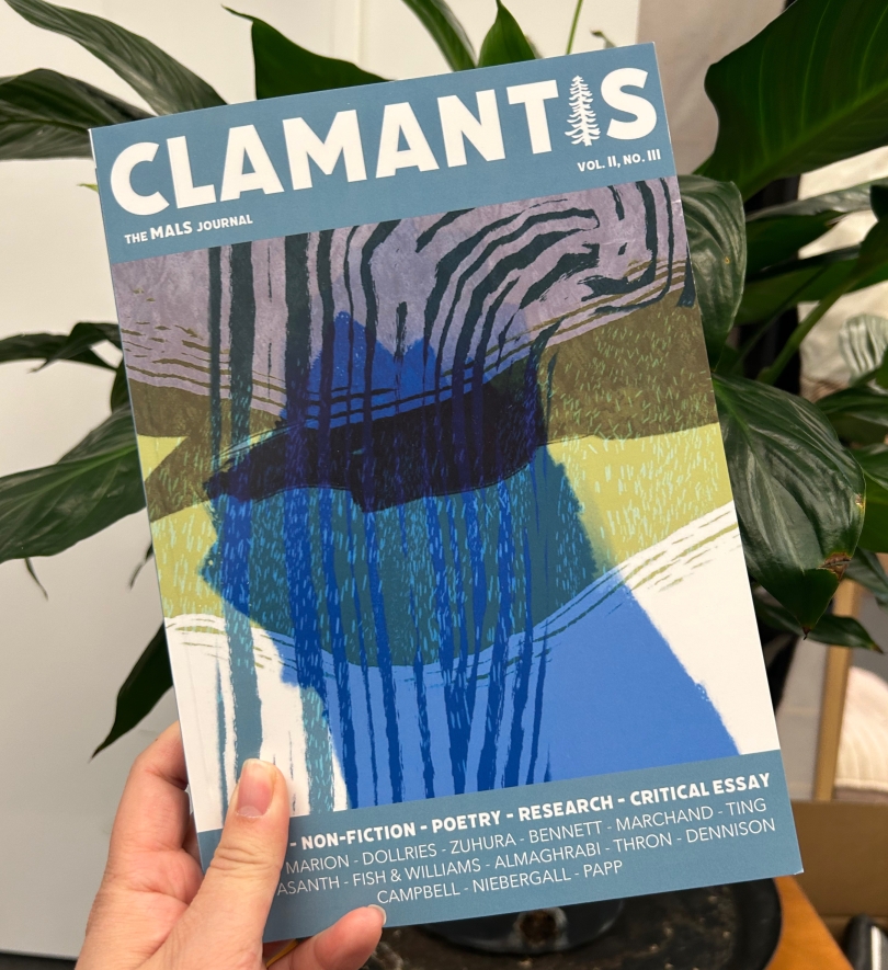 cover of the journal, blue and green abstract art with the title and names of the authors 